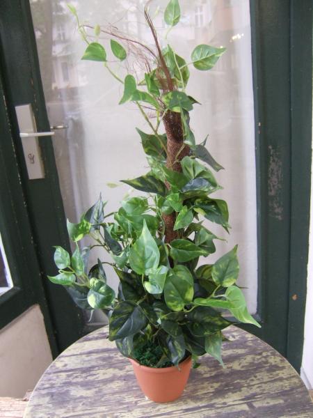 Künstliche Grünpflanze Pothos mit Sisalstab 70cm TopQualität